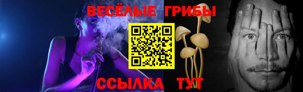 Волхов  Псилоцибиновые грибы Psilocybe  Вход с VPN  Псилоцибиновые грибы Psilocybine cubensis 