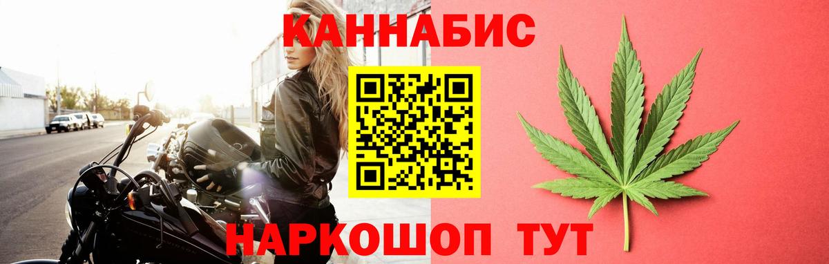 Канабис гибрид Волхов